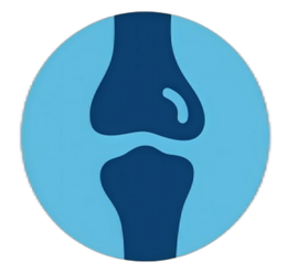 Aids digestive wellness