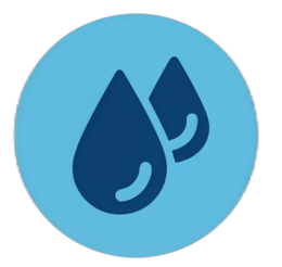 Promotes skin elasticity